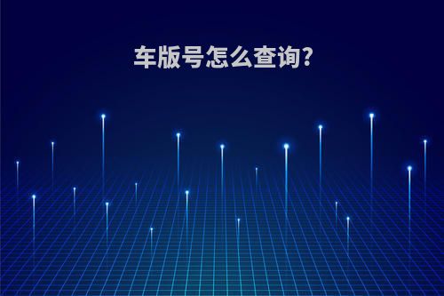 车版号怎么查询?