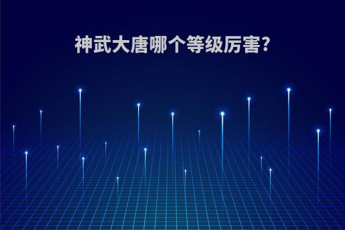 神武大唐哪个等级厉害?