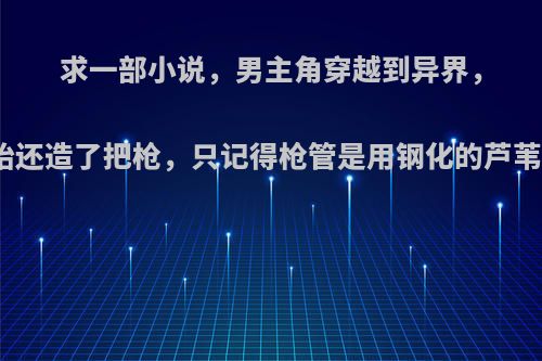 求一部小说，男主角穿越到异界，一开始还造了把枪，只记得枪管是用钢化的芦苇做的?