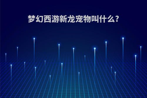 梦幻西游新龙宠物叫什么?