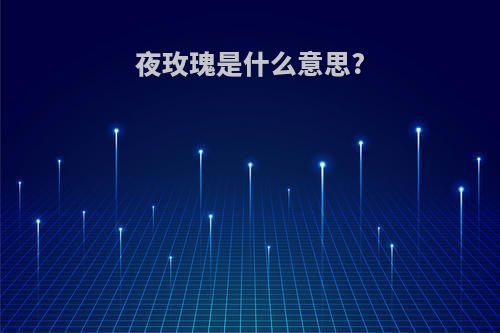 夜玫瑰是什么意思?