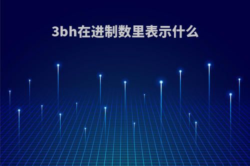 3bh在进制数里表示什么