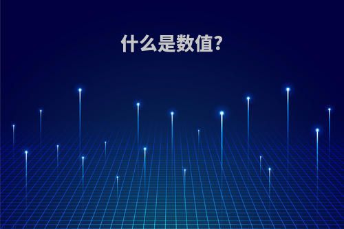 什么是数值?
