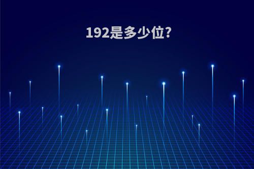 192是多少位?