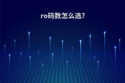 ro码数怎么选?