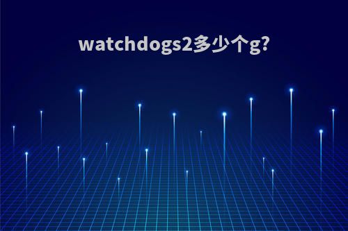 watchdogs2多少个g?