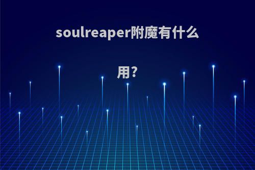 soulreaper附魔有什么用?