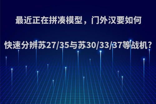 最近正在拼凑模型，门外汉要如何快速分辨苏27/35与苏30/33/37等战机?(苏27 30 33 35)