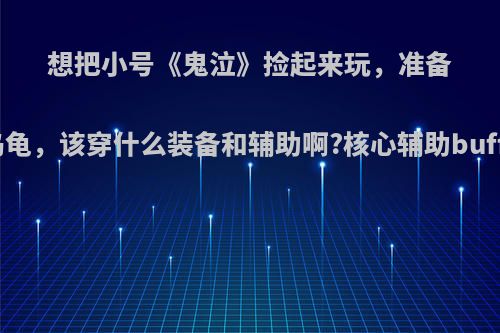 想把小号《鬼泣》捡起来玩，准备先混混乌龟，该穿什么装备和辅助啊?核心辅助buff是什么?