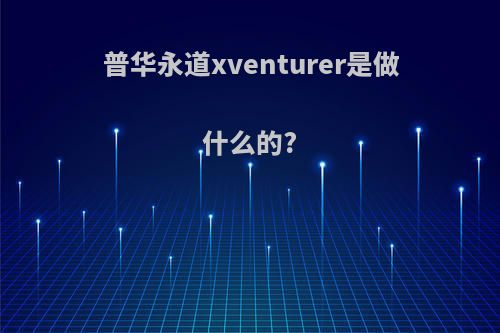 普华永道xventurer是做什么的?