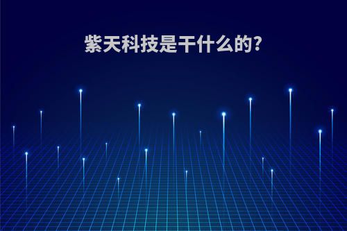 紫天科技是干什么的?