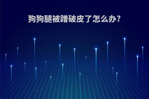 狗狗腿被蹭破皮了怎么办?