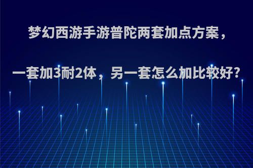 梦幻西游手游普陀两套加点方案，一套加3耐2体，另一套怎么加比较好?