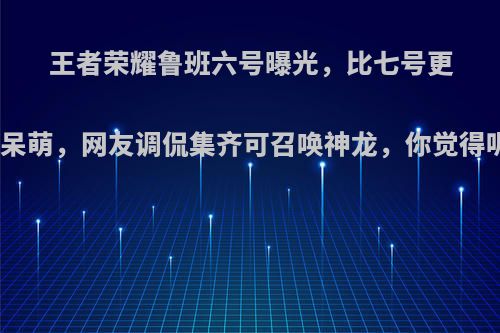 王者荣耀鲁班六号曝光，比七号更加呆萌，网友调侃集齐可召唤神龙，你觉得呢?
