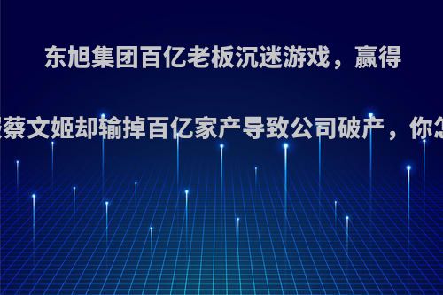 东旭集团百亿老板沉迷游戏，赢得了国服蔡文姬却输掉百亿家产导致公司破产，你怎么看?