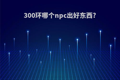 300环哪个npc出好东西?