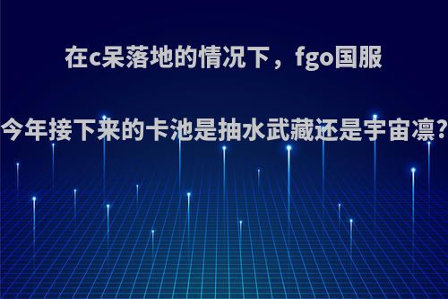 在c呆落地的情况下，fgo国服今年接下来的卡池是抽水武藏还是宇宙凛?