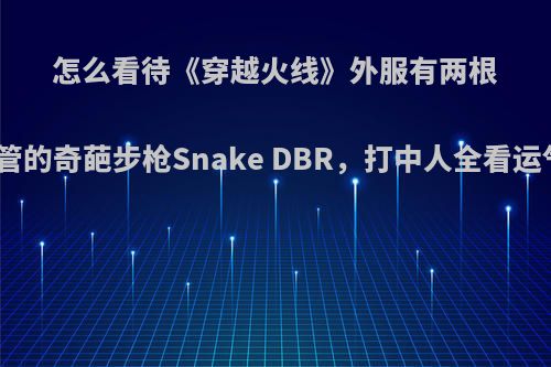 怎么看待《穿越火线》外服有两根枪管的奇葩步枪Snake DBR，打中人全看运气?