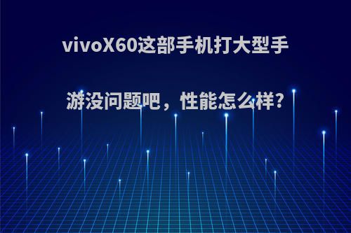 vivoX60这部手机打大型手游没问题吧，性能怎么样?