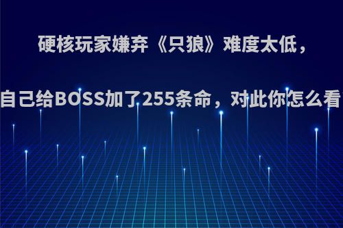 硬核玩家嫌弃《只狼》难度太低，自己给BOSS加了255条命，对此你怎么看?