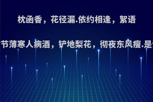 枕函香，花径漏.依约相逢，絮语黄昏后.时节薄寒人病酒，铲地梨花，彻夜东风瘦.是谁写的词?