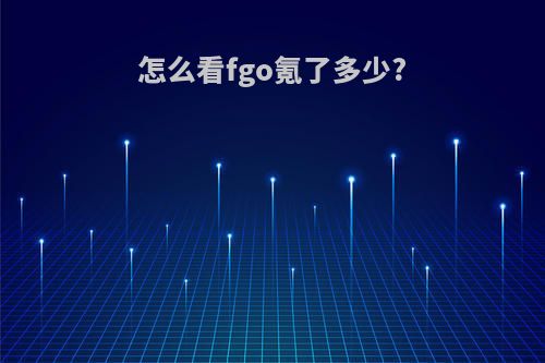 怎么看fgo氪了多少?