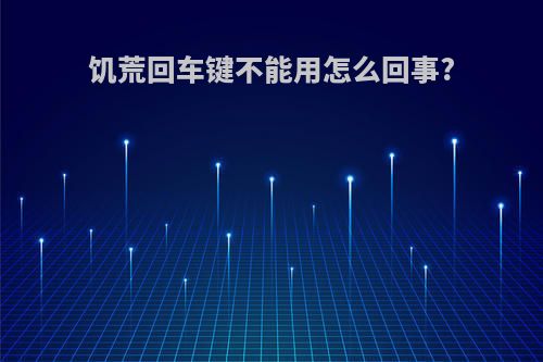 饥荒回车键不能用怎么回事?