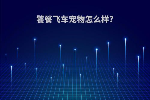 饕餮飞车宠物怎么样?