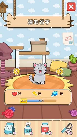 猫咪小舍官方版