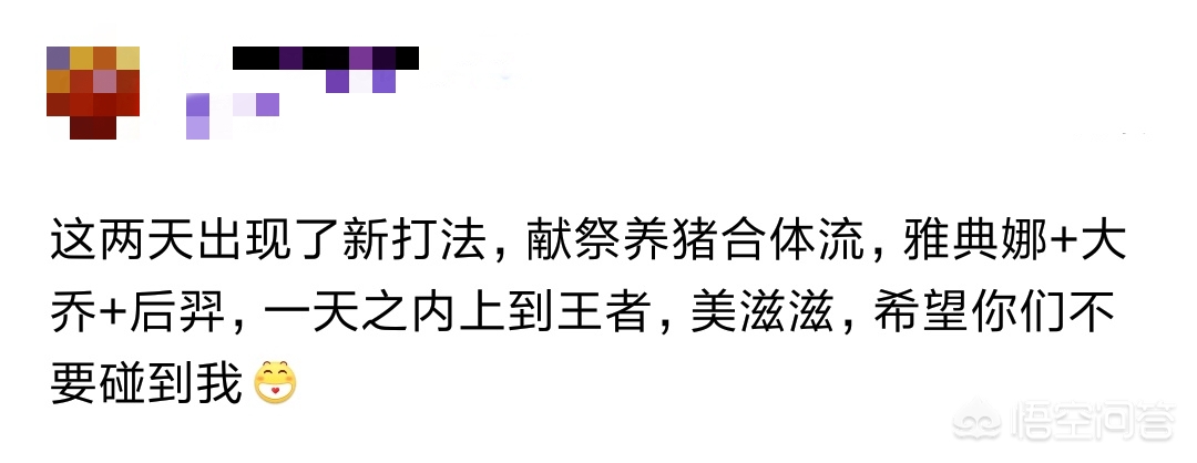 王者荣耀玩家新发明献祭养猪合体流，一天之内打上王者，这打法官方是不是没办法制裁?