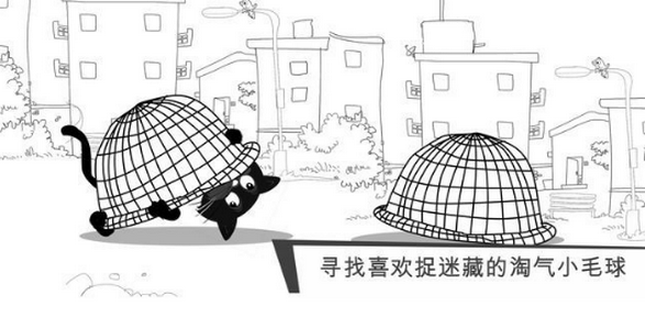 猫咪出游逃跑喵星人
