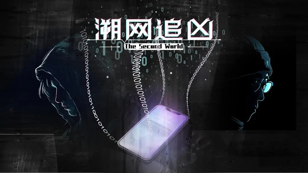 溯网追凶正版